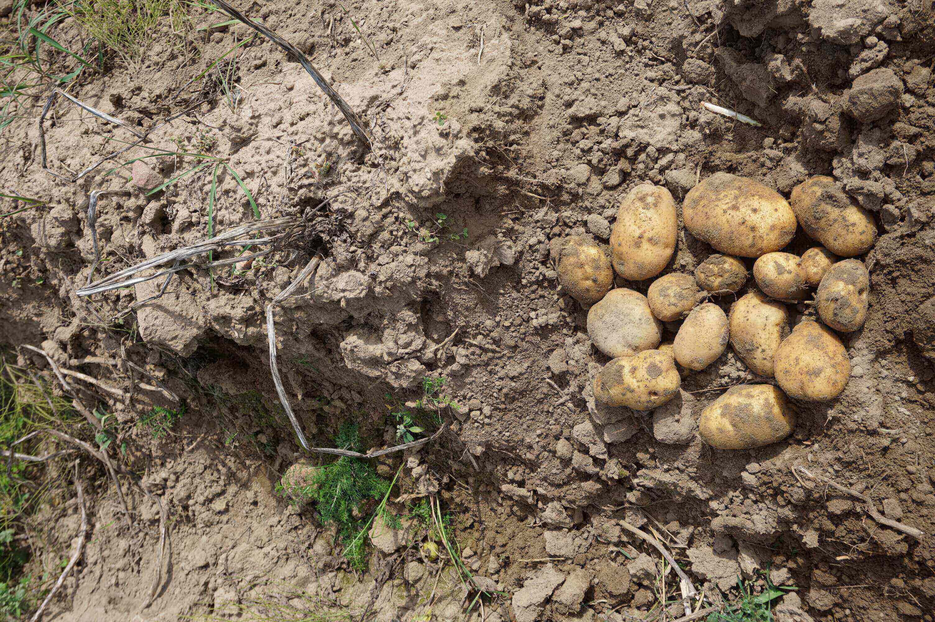 01.09.2020</br>Denar